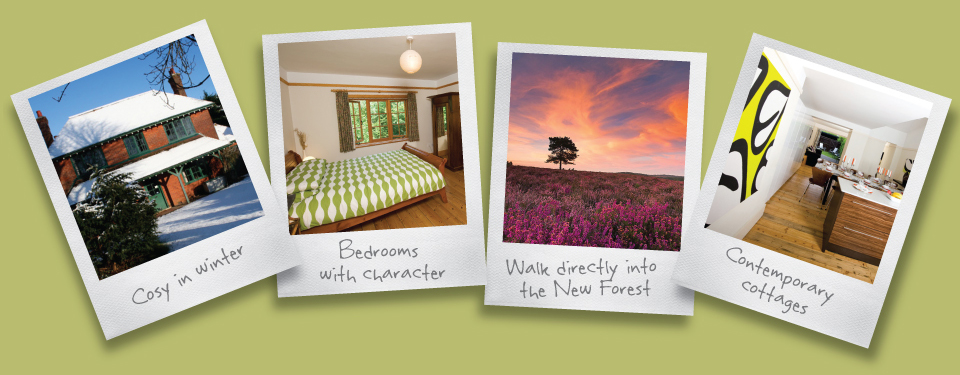 New Forest Cottages Large Cottages Amazing Locations Great