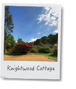 largenewforestcottages