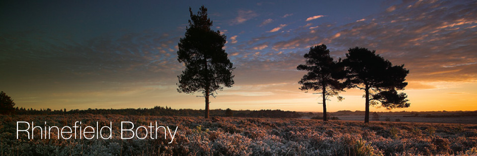 Large Cottages Rhinefield New Forest Cottage Near Brockenhurst