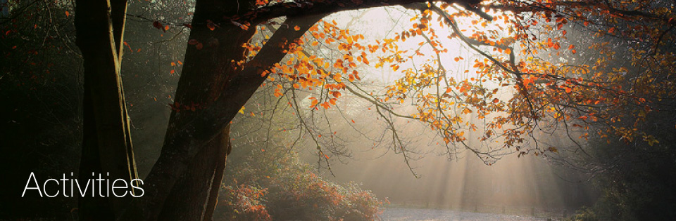 halcyon New Forest Cottages activities
