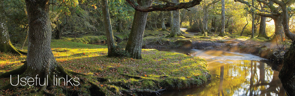 halcyon New Forest Cottages useful links