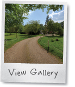 Vine COttage image gallery