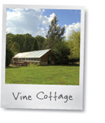 Vine Cottage