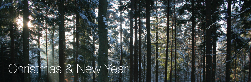 Christmas and New Year breaks